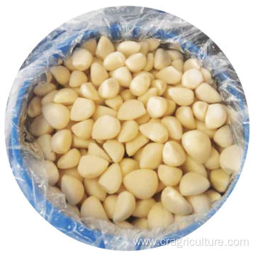 Peeled Garlic Cloves In Brine Price
